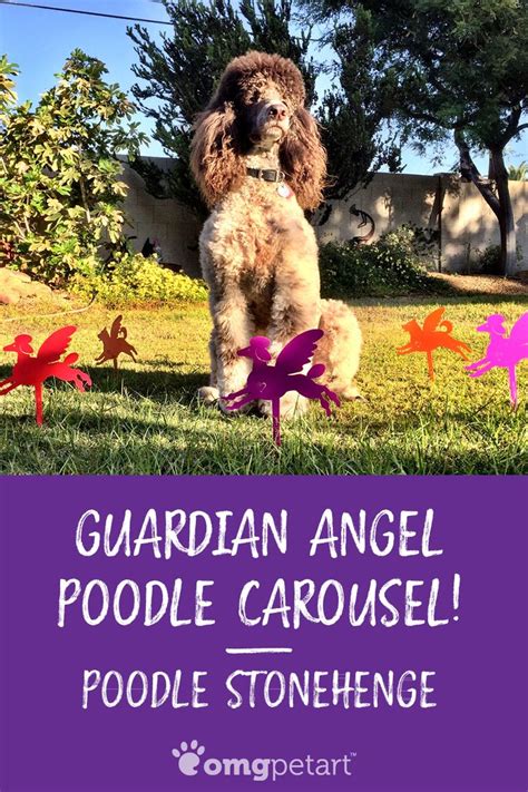 Pet Angels Guardian Angels Personalized With Your Pets Name Pet
