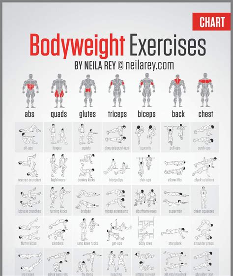 Pin By M Keusler On Exercise Body Workout Plan Bodyweight Workout