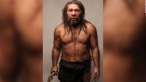 Stone Age Teeth Hint At Neanderthal Interbreeding Cnn