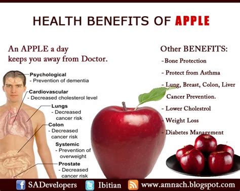 The Lenof Why You Should Consider Eating Apple And It S Health Benefits