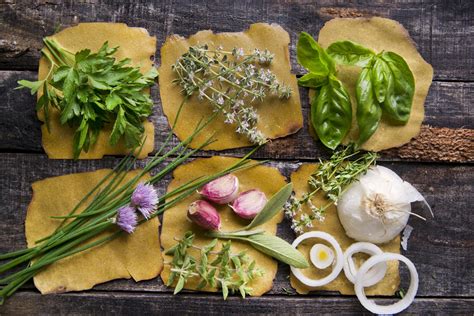 Nel nord italia, i mesi migliori sono aprile e maggio, mentre in altre zone. Come coltivare il basilico in vaso sul balcone | Coltivare