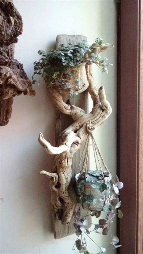 Is your succulent growing long stem? succulent growing long stem | Driftwood crafts, Plant ...