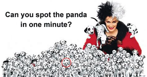 Only Geniuses Can Find The Panda
