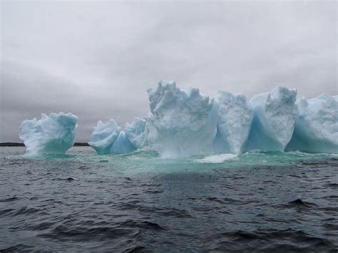 Experiencing The Splendor Of Newfoundlands Iceberg Alley The