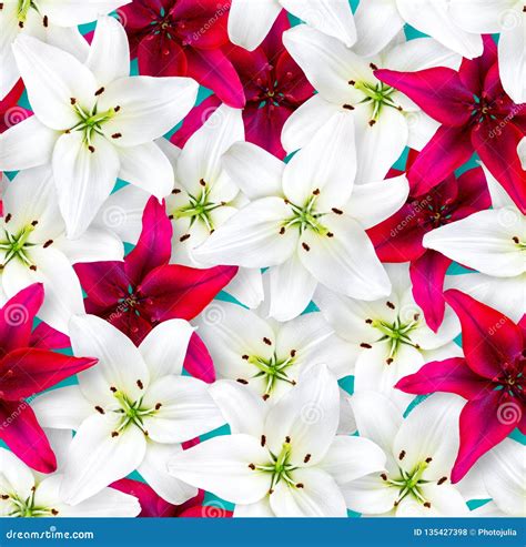 Seamless Floral Pattern Chaotic Arrangement Of Flowers Red And White