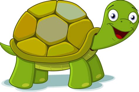 Art On Clip Art Turtle Shells And Sea Turtles