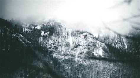 Download Wallpaper 1366x768 Mountain Slope Fog Trees Snow Tablet