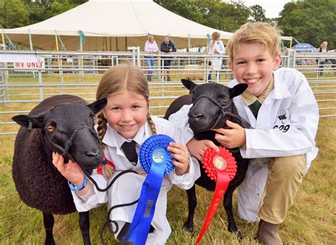 What’s on at the 2023 New Forest Show 25th, 26th and 27th July, New