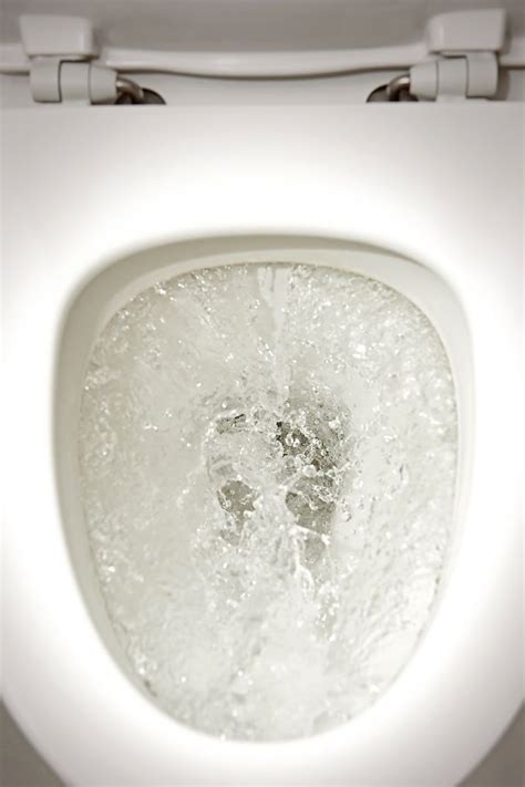 These flush toilets will give you a better experience than others! Best Flushing Toilet Reviews | Flush toilet, Toilet, Flush