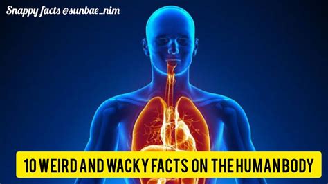 Interesting World Facts That You Should Know 10 Weird And Wacky