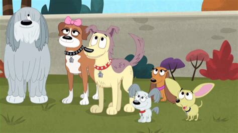 Looking to watch pound puppies anime for free? Shout! kids did it again with Pound Puppies: Showstopping Pups #DVD #GIVEAWAY - Naturally Cracked