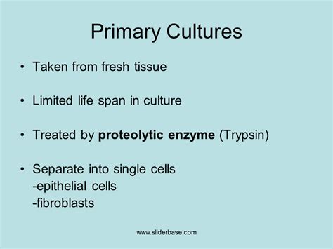 Carries genetic information and controls what happens inside the cell. Continuous cell line