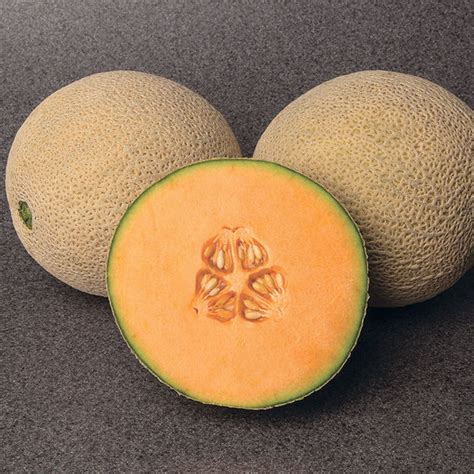 Melon Gold Crown F1 Harris Seeds