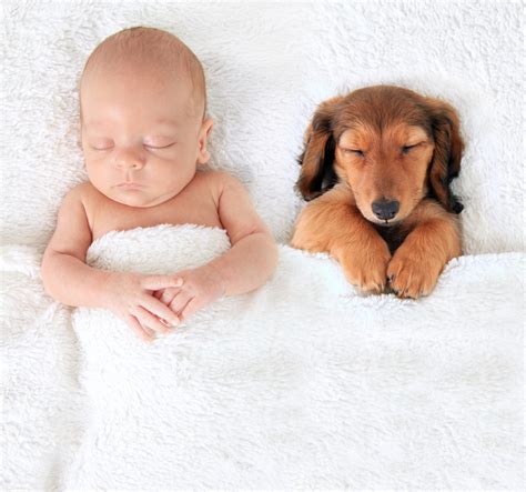 Infant Sleep Archives Compassionate Sleep Solutions