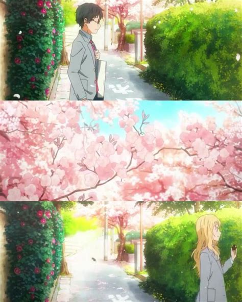 Your Lie In April Phone Wallpaper