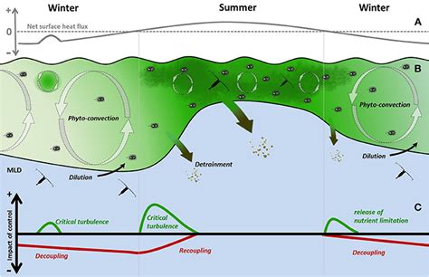 Frontiers A Seasonal Diary Of Phytoplankton In The North Atlantic