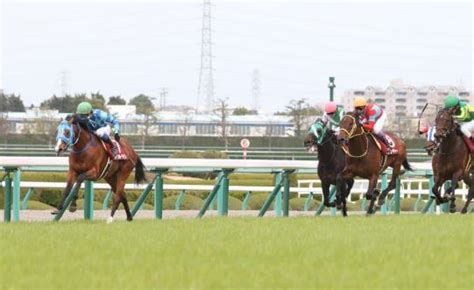 大阪空港交通 ／ 阪神バス ／ 近鉄バス. 阪神大賞典 2019【予想】次の長距離王は誰だ？ポイントは ...