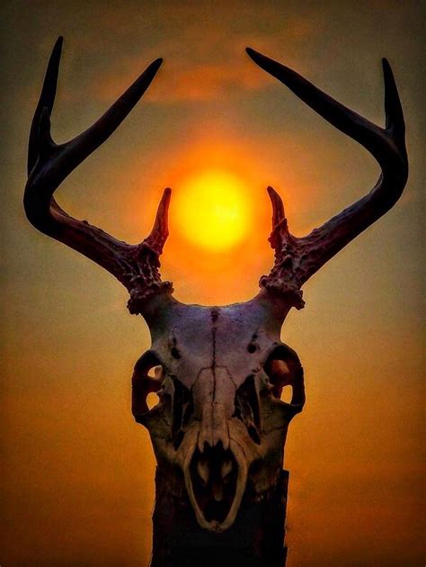 Pagan Sun By Leeann Hughes Mastin Novelty Lamp Deer Skulls Lion