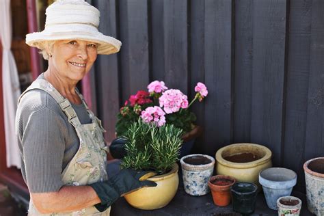 Woman Planting Rosemary In A Pot Bellbird Sports And Spinal