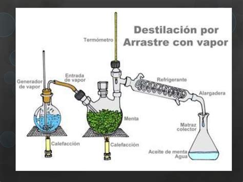 Práctica No 2 Destilación Por Arrastre De Vapor