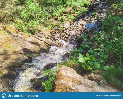 Waterfall In Dense Forest Mountain River Woodland Creek Water Stream