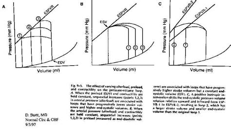 Normal Circulation And Congestive Heart Failure