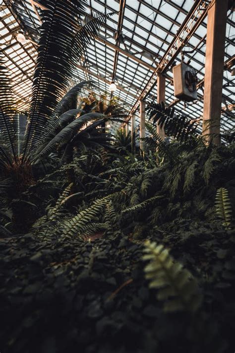 500 Beautiful Greenhouse Photos · Pexels · Free Stock Photos