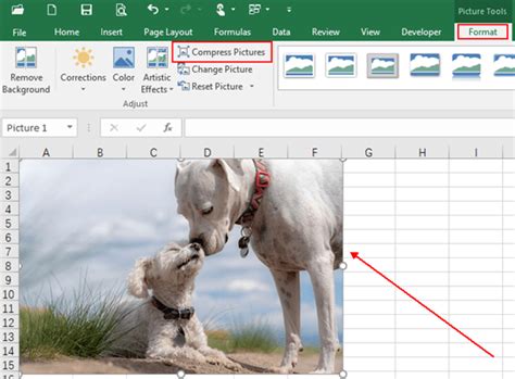 How To Reduce The File Size Of Images In Microsoft Excel My Microsoft