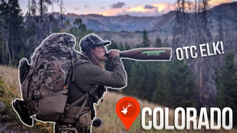Colorado Otc Archery Elk Hunt Wborn And Raised Outdoors Youtube