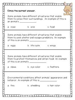 Remember these are in printable pdf format. Living Things - Science Test for 2nd Grade by Primary Divas | TpT