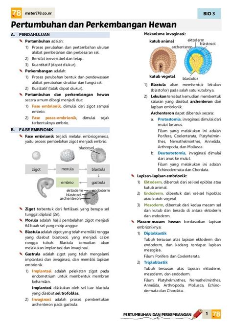 Materi Biologi Sma Kelas Xii Pertumbuhan Dan Perkembangan Pada Tumbuhan