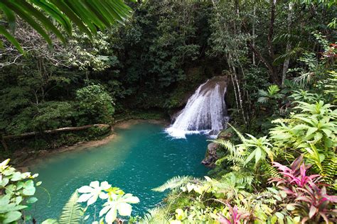 ocho rios jamaica tours jamaica resorts jamaica excursions