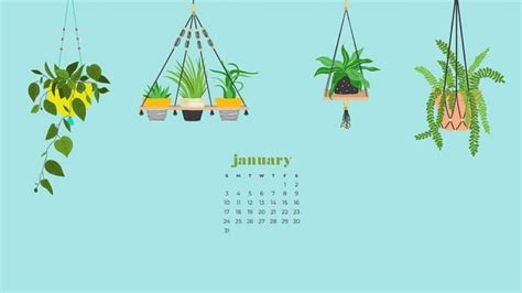 January 2021 Calendar Minimalist Wallpaper 72244 Baltana