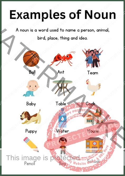 Noun Definition Rules Kinds Of Nouns And Examples