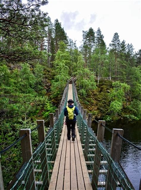Frontière entre la finlande et la russie (fr); La Finlandia dei parchi al confine con la Russia - 10 ...