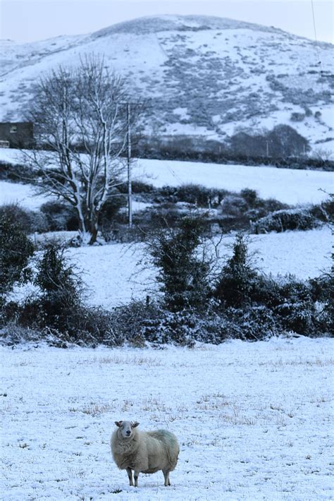 Met Eireann Warn Of Irish Weather Cold Regime Next Week As Southern