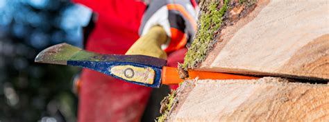 Tree Felling And Tree Removal In Cobham Arborlife Surrey