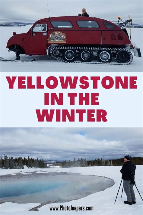 Yellowstone Winter Vacation An Unforgettable Experience Yellowstone
