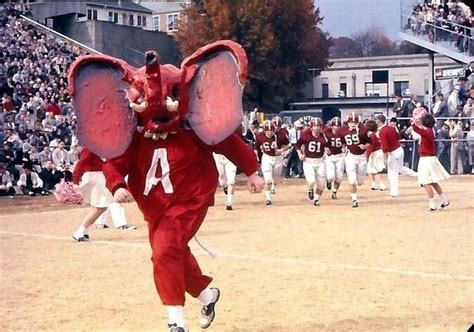 Big Al The Evolution Of The Alabama Mascots Look Throughout The Years