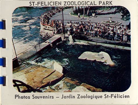Les Zoos Dans Le Monde Zoo Sauvage De Saint Félicien