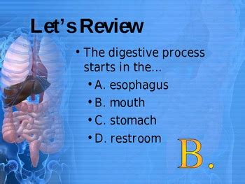 Digestive System PPT by Charlotte Thompson | Teachers Pay ...