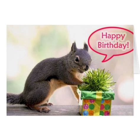 Happy Birthday Squirrel Greeting Card Zazzle