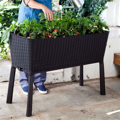 Keter Easy Grow Outdoor Resin Wicker Raised Planter Box | Elevated