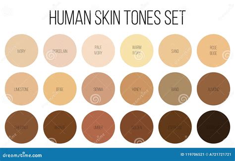 Skin Tone Palette Stock Illustrations 1069 Skin Tone Palette Stock