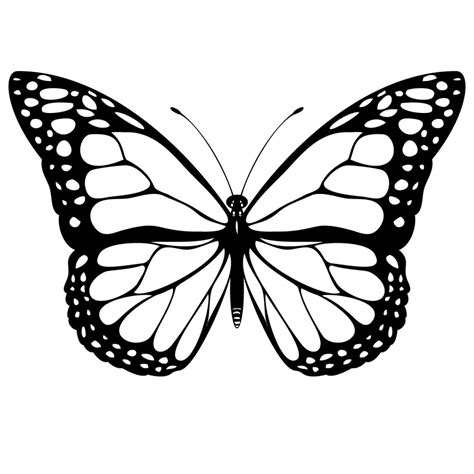 Monarch Butterfly Clip Art Free Biological Science