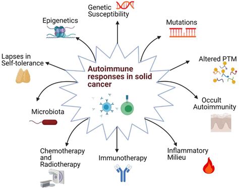 Ijms Free Full Text Autoimmune Responses In Oncology Causes And