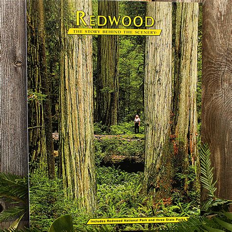 Books Redwood Parks Conservancy