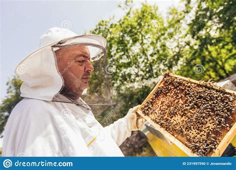 Beekeeper Working Collect Honey Stock Photo Image Of Apiary Honey