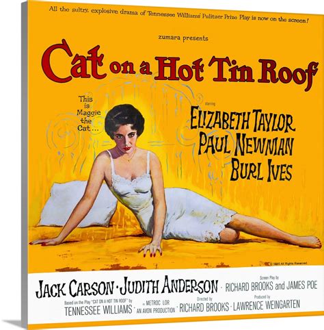 Cat On A Hot Tin Roof Wall Art Canvas Prints Framed Prints Wall