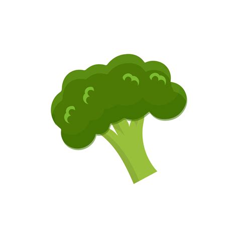Broccoli Icon Vector Broccoli Vegetable Fresh Farm Healthy Food